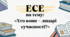 Есе на тему: «Хто вони - лицарі сучасніост?» (за повістю А.Чайковського "За сестрою")