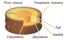 0602szk2-07e7-265x160.png