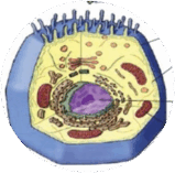 0602t0hq-dd6d-159x157.png