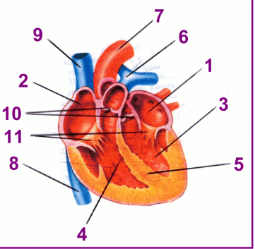 0602t1ob-78c9-361x353.png