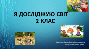 ЯДС 2 клас. Діагностувальна робота №1 ( за підручником І.В. Грущинська)