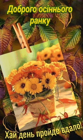 0602t6wq-6e76-277x463.png