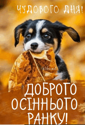 0602t7i0-c556-273x400.png