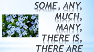  Grade - 5 / Some, any, much, many, there is, there are