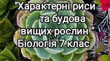 Підсумкова контрольна робота №3 ( ГР1, ГР2, ГР3) "Характерні риси та будова вищих рослин"