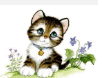 0602ta7f-bb5f-102x78.png