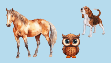 0602tatk-cfae-431x243.png