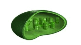 0602tc3q-59d5-311x173.png