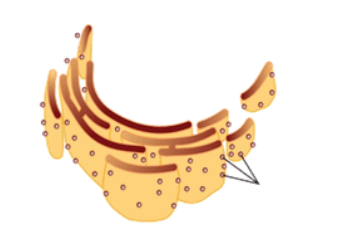 0602tc4h-f506-349x232.png