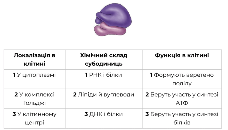 0602tc8u-5467-940x536.png
