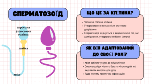 Спеціалізовані клітини