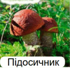 0602tege-936c-144x138.png