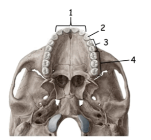 0602tgjp-380e-296x274.png