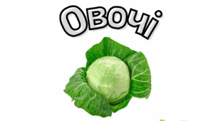 Овочі