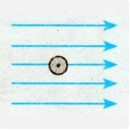 0602tojv-c224-130x131.png