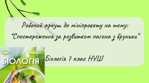 Робочий аркуш до мініпроєкту на тему "Спостереження за розвитком пагона з бруньки" Біологія 7 клас НУШ
