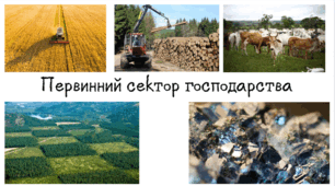 Контроль знань за темою "Первинний сектор господарства"