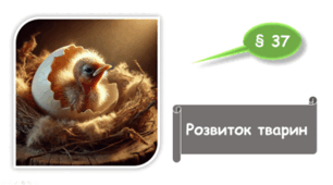   7 клас НУШ. Розвиток тварин