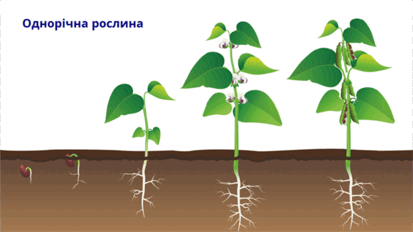 0602tttk-6634-413x232.png