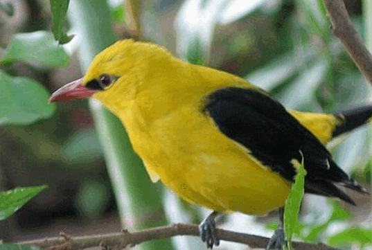 0602tu13-f717-537x361.png