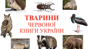Рослини і тварини Червоної книги України