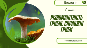 Різноманітність грибів. Справжні гриби. 7 клас. НУШ