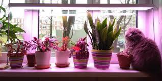 0602u5bp-5b4e-318x159.jpg