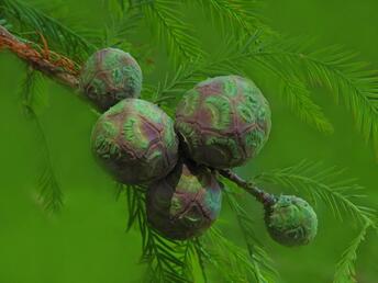 0602u8fi-721a-344x258.jpg