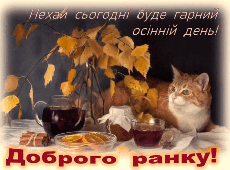 0602u9zh-2f77-455x337.png