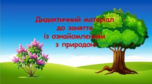 Наочний матеріал до заняття з ознайомлення дітей з природою "Дерева і кущі"