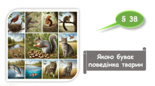   7 клас НУШ. Якою буває поведінка тварин