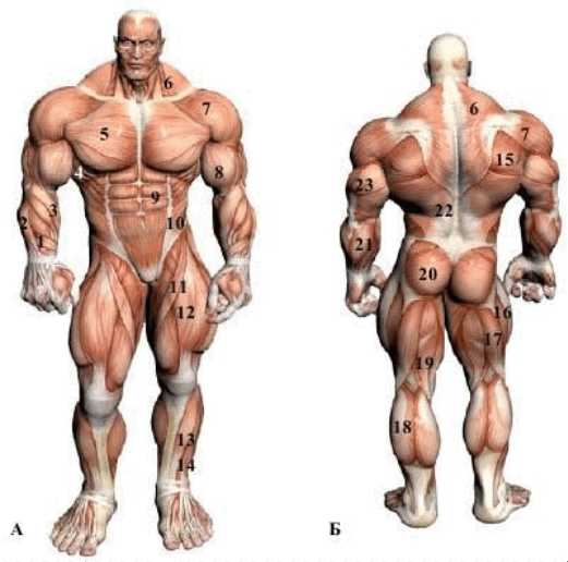 0602uhct-d5a4-521x516.png