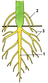 0602uivf-ca70-237x404.png