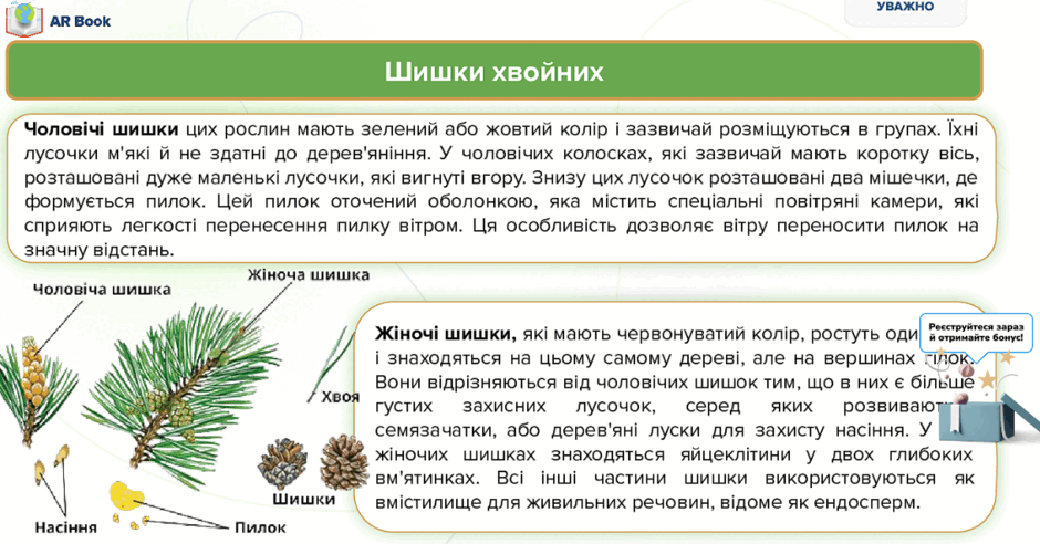 0602ul64-7368-940x492.png