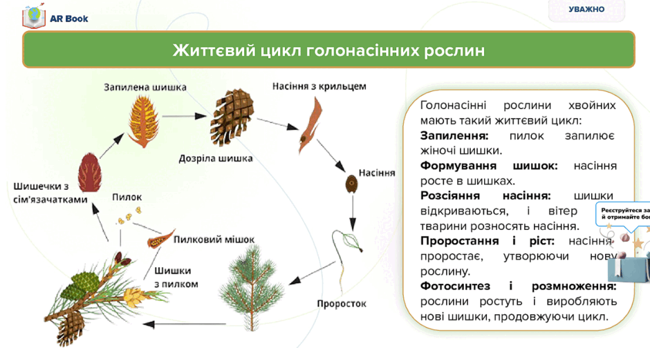 0602ul6g-7e2c-940x504.png