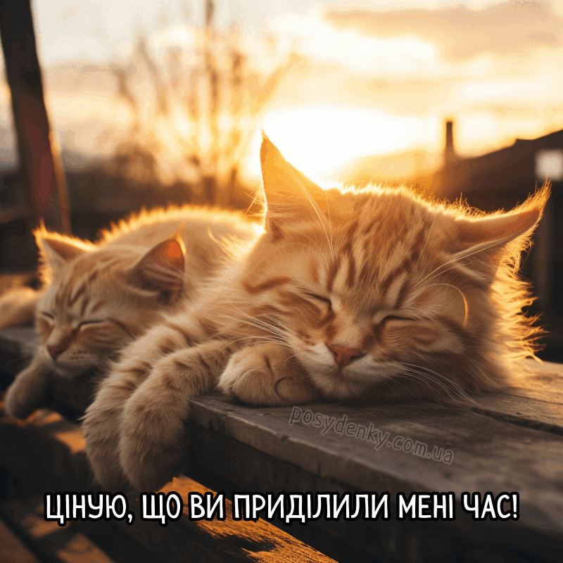 0602uloh-c9a5-800x800.png