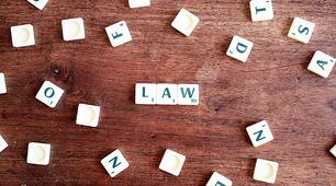 Grammatical and lexical material for specialty of law 