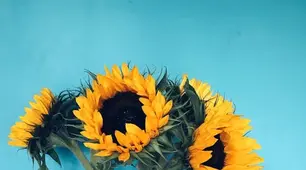 Імітація НМТ-18-24-25