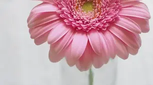 Імітація НМТ-19-24-25
