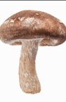 0602v0z6-b3e4-94x145.png