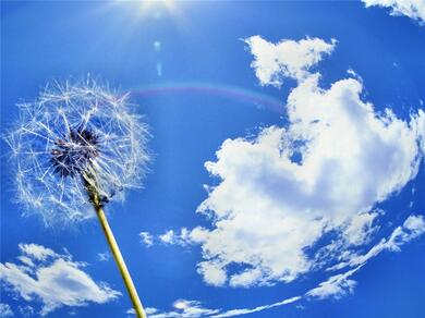 0602v1ho-d600-390x292.jpg