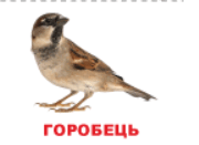 0602v3fv-d43a-180x131.png