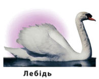 0602v3hl-8eb6-195x156.png