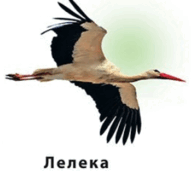 0602v3hv-7e7d-191x176.png