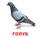 0602v3l7-5dbd-171x160.png