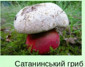 0602v3y5-538c-278x219.png