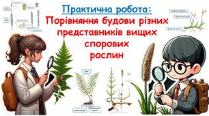 Практична робота: Порівняння будови різних представників вищих спорових рослин. Презентація з біології для учнів 7 класу НУШ.