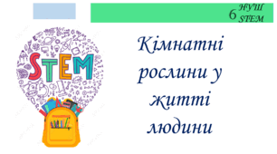 Кімнатні рослини у житті людини