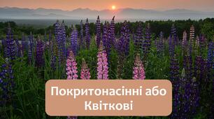 §28 Покритонасінні або Квіткові