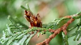 0602v8m3-54b0-258x145.jpg